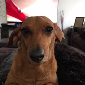 Meet your Posher, Bryan